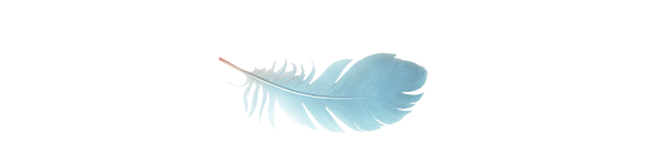 Feder im zarten blau Hellblaues Feder mit sanften, geschwungenen Linien und zartem, weichem Aussehen.